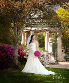 Houston Bridal Portrait