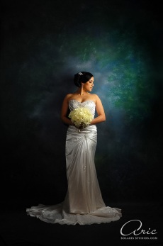 Houston Bridal Portrait